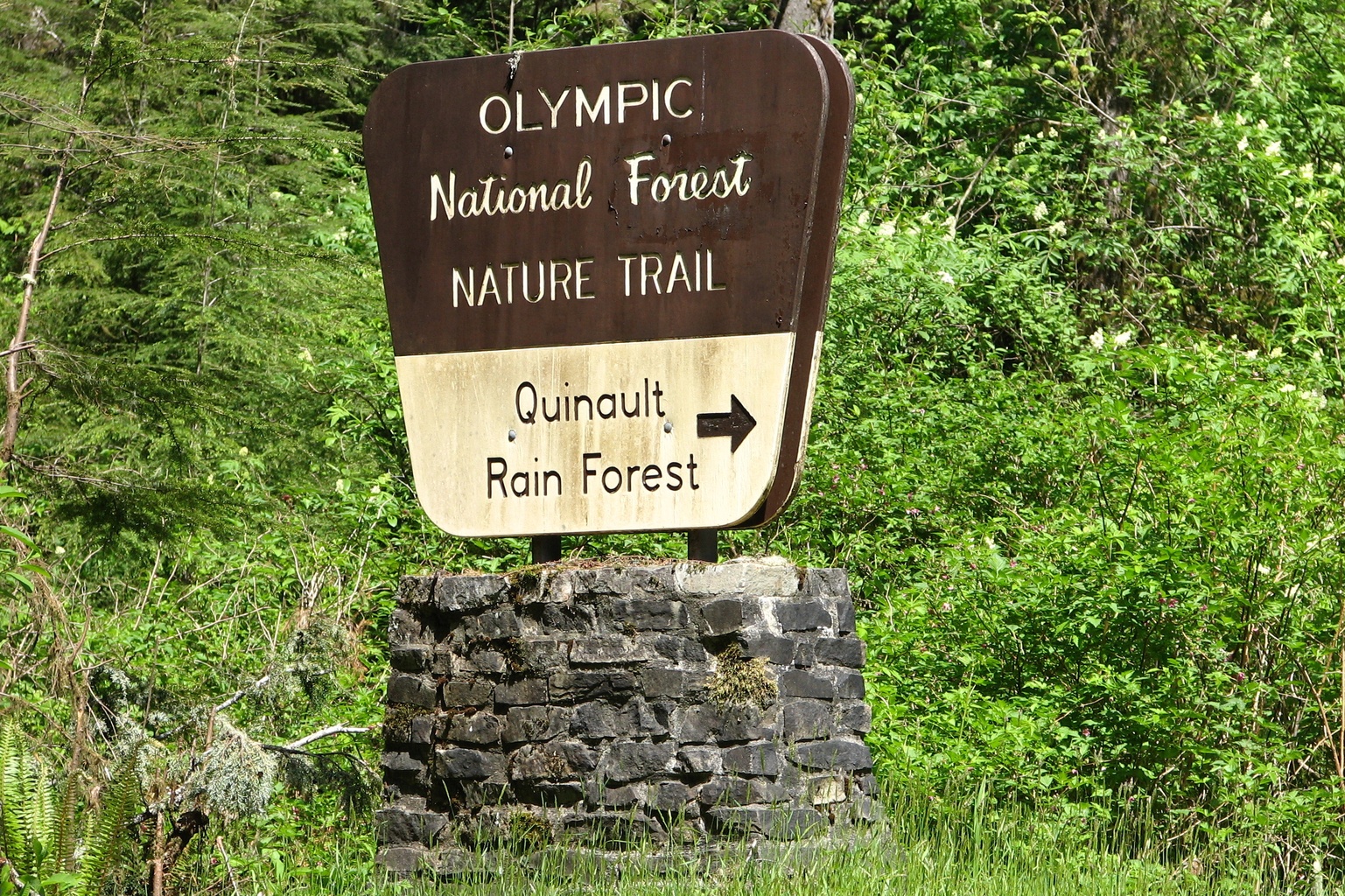 Quinault Rain Forest Ranger Station quinault-rain-forest-ranger-station