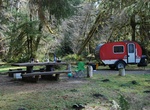 Camp at Hoh Campground, Olympic National Park, Washington