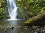 See Madison Creek Falls, Olympic National Park, Washington