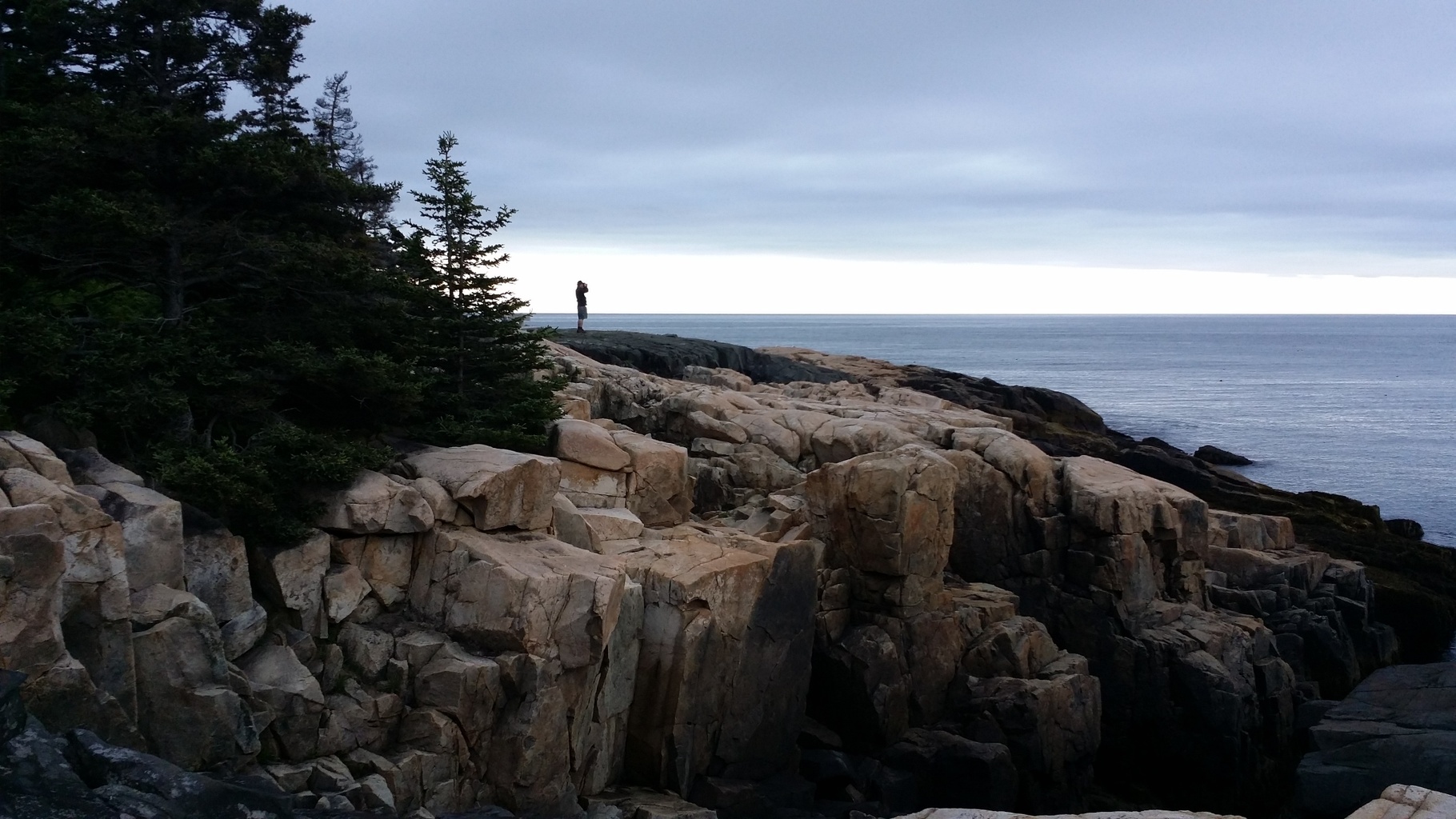 Things to do for Explore Acadia National Park