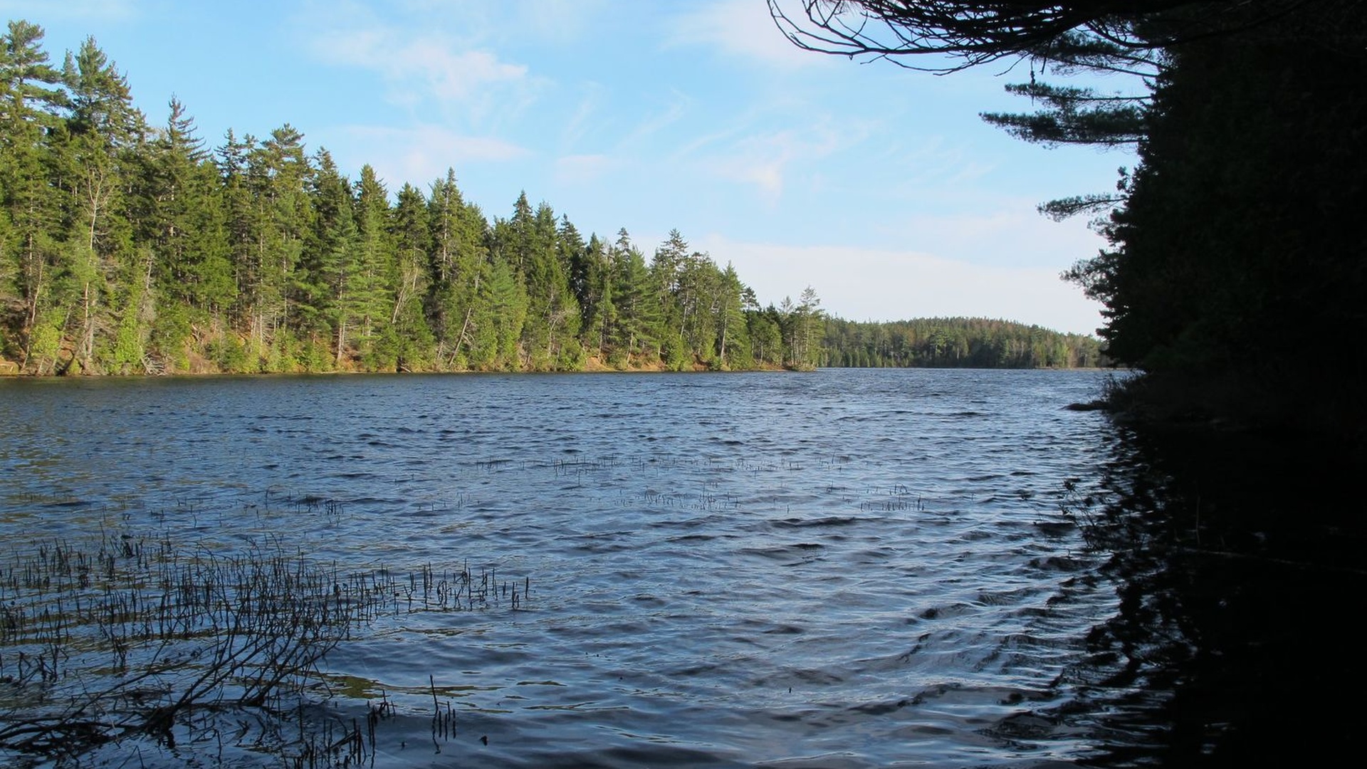 Things to do for Explore Acadia National Park