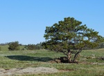 Hike Sanctuary Trail, Wind Cave National Park, South Dakota