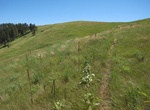 Hike Lookout Point Trail, Wind Cave National Park, South Dakota