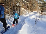 Go Snowshoeing in Voyageurs National Park, Minnesota