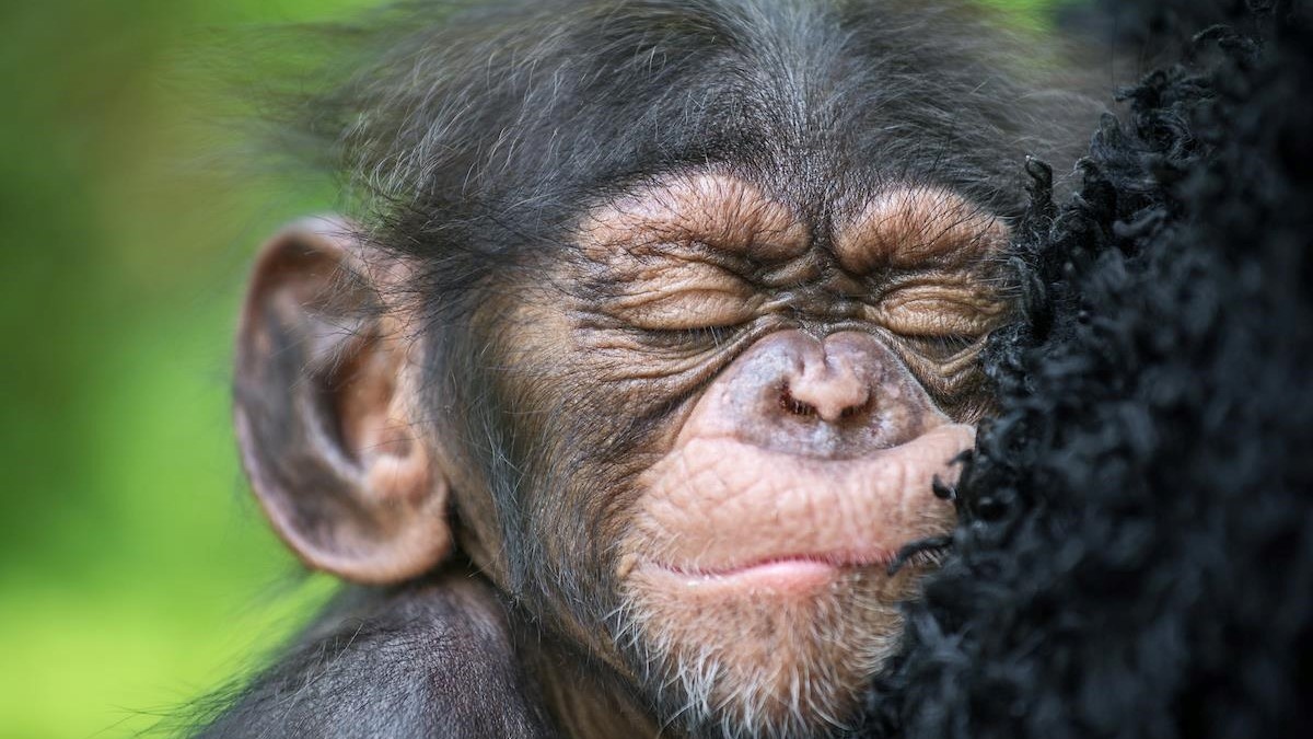 Los Angeles Zoo & Botanical Gardens