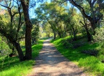 Explore Placerita Canyon State Park, California