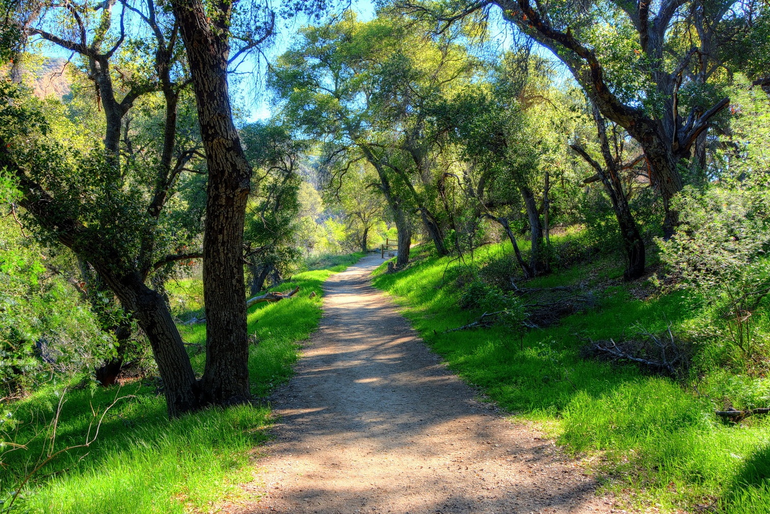 Placerita Canyon State Park