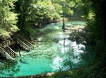 Explore Ginnie Springs, High Springs, Florida
