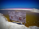 Visit Laguna Rosa (Las Coloradas Yucatán), Mexico