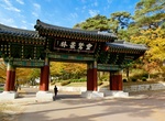 Visit Tongdosa, South Korea (UNESCO Site)