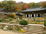 Visit Seonamsa, Jogyesan Provincial Park, South Korea (UNESCO Site)