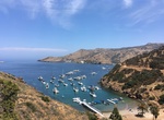 Visit 4th Of July Cove, Catalina Island, California
