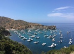 Visit Cherry Cove, Catalina Island, California