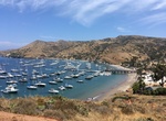Visit Isthmus Cove, Catalina Island, California