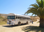 Ride Catalina Safari Bus, Catalina Island, California