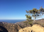 Hike Garden to Sky Trail, Catalina, California
