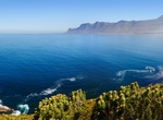 Explore Kogelberg Nature Reserve, Cape Town, South Africa