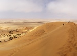 Explore Namib Desert Dune 7, Namibia