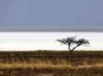 Explore Etosha Pan, Etosha National Park, Namibia