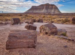 Explore Petrified Forest National Park, Arizona