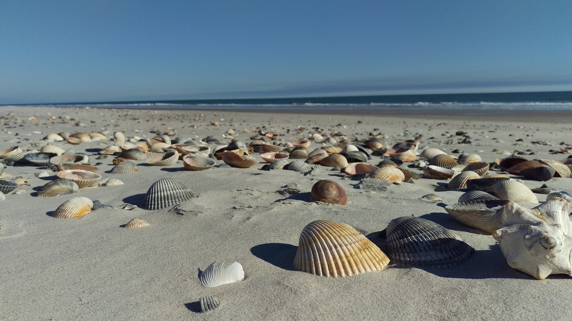 Hammocks Beach State Park