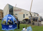 Visit Galway Atlantaquaria, National Aquarium of Ireland