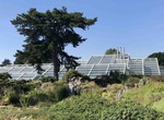Visit Princess of Wales Conservatory, Kew Gardens, England