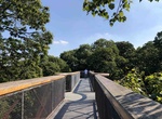 Walk Treetop Walkway, Kew Gardens, Richmond, England
