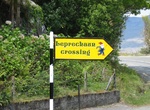 Visit Leprechaun Crossing, Ireland