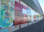 Visit Peace Lines (Peace Wall), Belfast, Northern Ireland