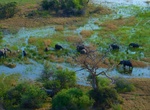 Explore Okavango Delta, Botswana (UNESCO Site)