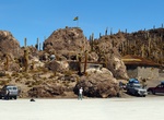 Visit Isla Incahuasi, Salar de Uyuni, Bolivia