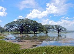Visit Tissa Wewa (Tissamaharama), Sri Lanka