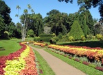 Visit Royal Botanical Gardens (Peradeniya), Kandy, Sri Lanka