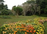 Visit Henarathgoda Botanical Garden, Sri Lanka