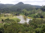 Visit Seetawaka Botanical Garden, Sri Lanka