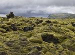 Explore Moss Fields in Eldhraun Lava Field, Iceland