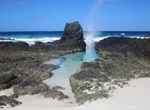 See Nesting Turtles on Dolly Beach, Christmas Island, Australia