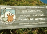 Explore Cabo de Hornos National Park, Chile