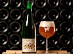 Drink Beer at Cantillon Brewery, Brussels, Belgium