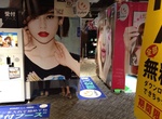 Take a Photo in a Purikura (photo booth)