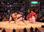See Sumo at Ryōgoku Kokugikan, Tokyo