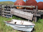 Visit Santa Rosa Island, Channel Islands National Park, California