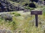 Hike Cherry Canyon Trail, Santa Rosa Island, California