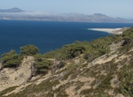 Hike to Torrey Pine Grove (Santa Rosa Island), California