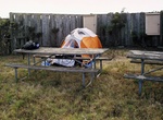 Camp at San Miguel Campground, San Miguel Island, California