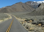 Drive Wildrose Canyon Road, Death Valley National Park, California