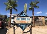 Eat at Barracuda Cantina, Playa Cerritos, Baja California