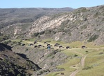 Camp at Water Canyon Campground, Santa Rosa Island, California