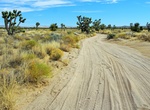 Off-road Mojave Road (Mohave Trail/Old Government Road), California